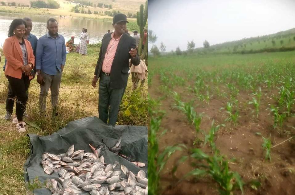 Nyagatare : Les habitants saluent l’impact des groupes d’épargne de la Croix-Rouge qui les aident à se développer Nyagatare : Les habitants saluent l’impact des groupes d’épargne de la Croix-Rouge qui les aident à se développer